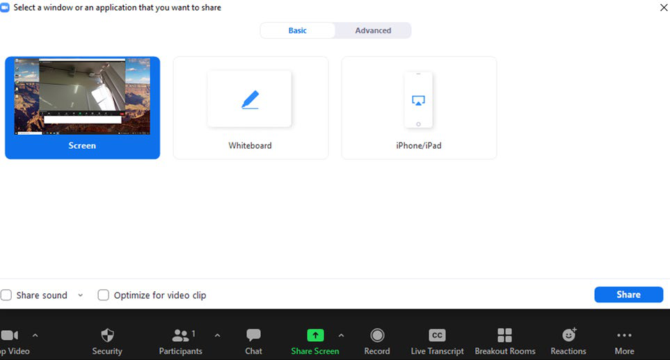Zoom share screen window with Advanced tab