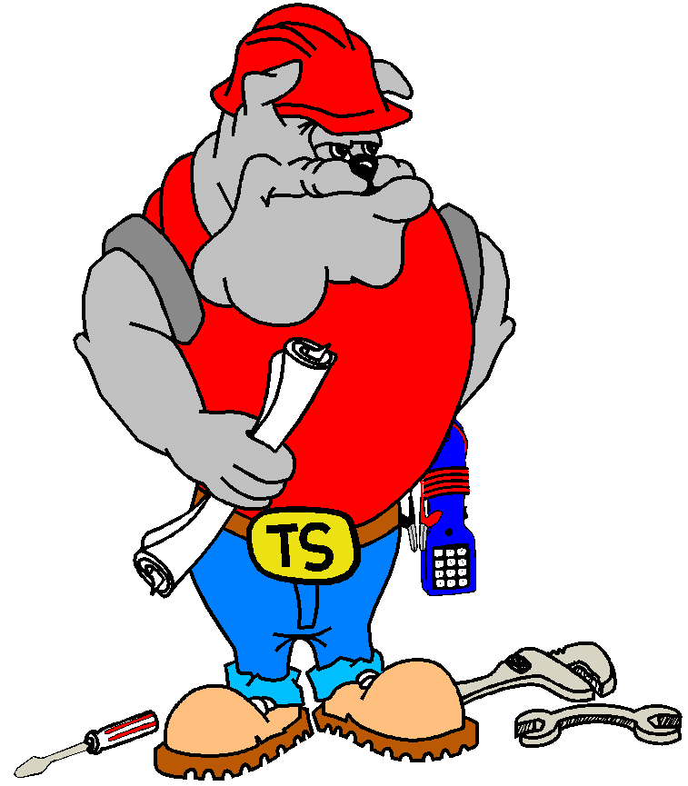 Fresno State Telecommunications Infrastructure Design Standards cover with mascot illustration