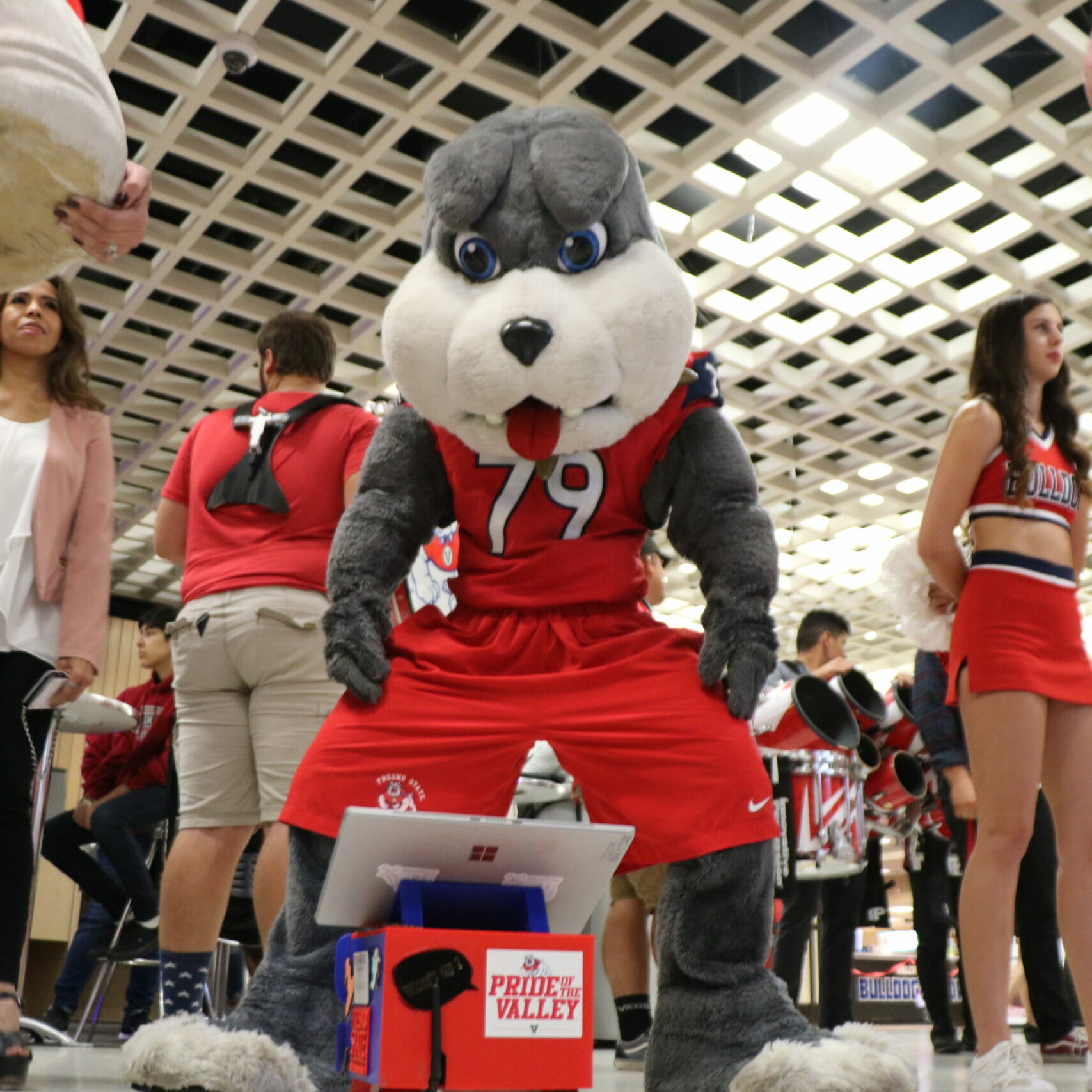 photo of Victor E the mascot looking down on the bulldog bot
